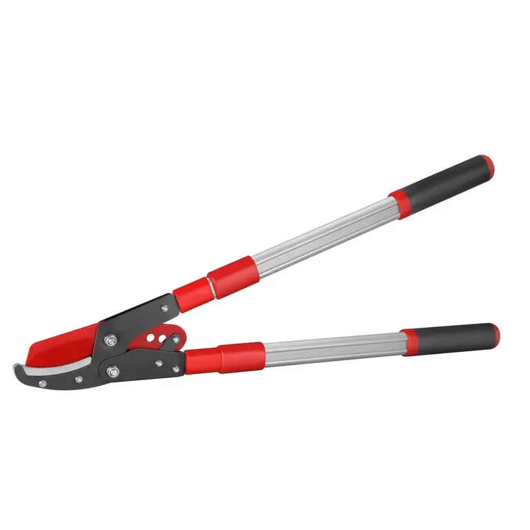 قیچی شاخه زن تلسکوپی RH-۳۱۲۱